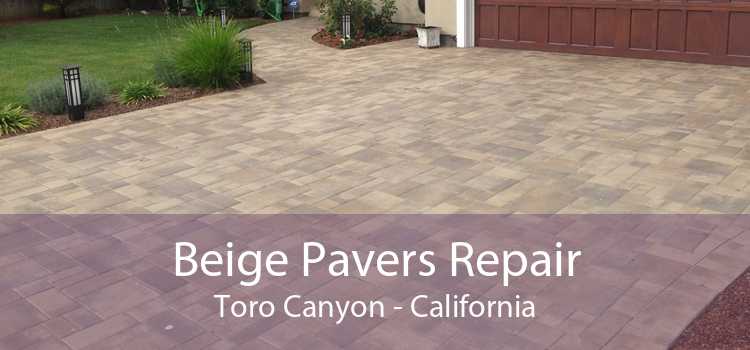 Beige Pavers Repair Toro Canyon - California