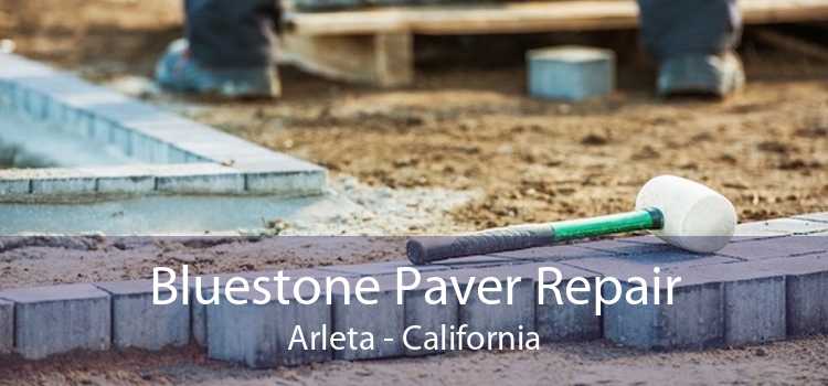 Bluestone Paver Repair Arleta - California