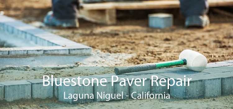 Bluestone Paver Repair Laguna Niguel - California