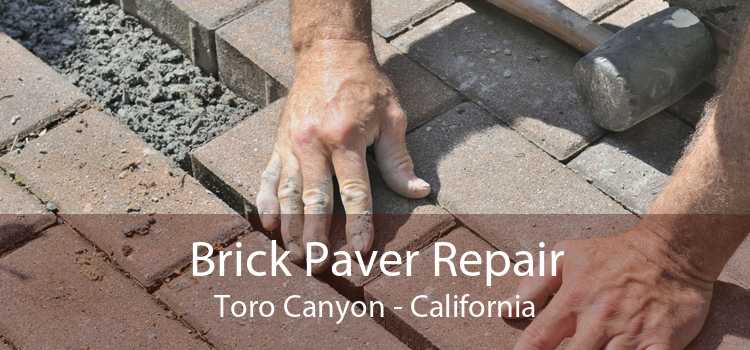 Brick Paver Repair Toro Canyon - California