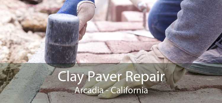 Clay Paver Repair Arcadia - California