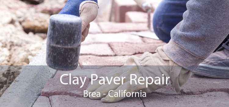 Clay Paver Repair Brea - California