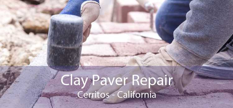 Clay Paver Repair Cerritos - California