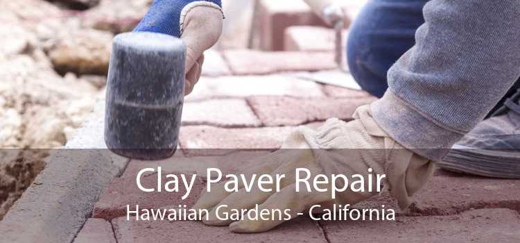 Clay Paver Repair Hawaiian Gardens - California