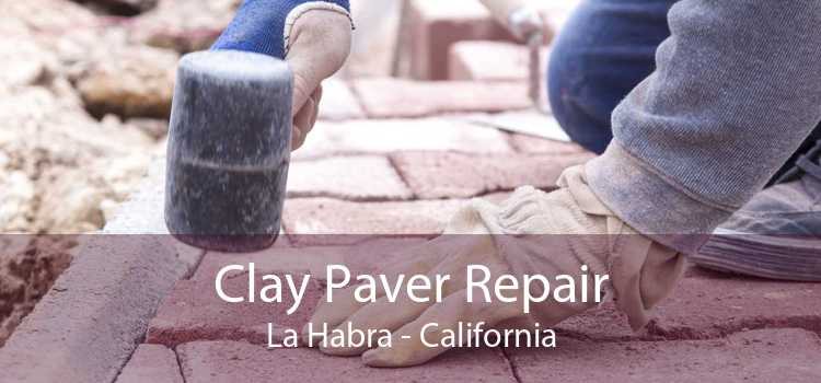 Clay Paver Repair La Habra - California