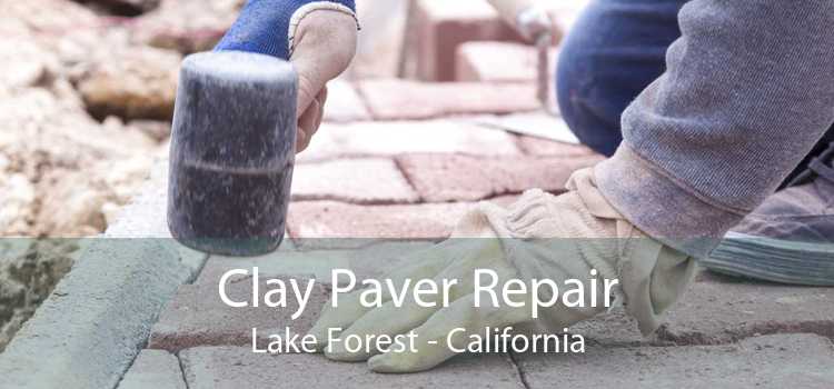 Clay Paver Repair Lake Forest - California