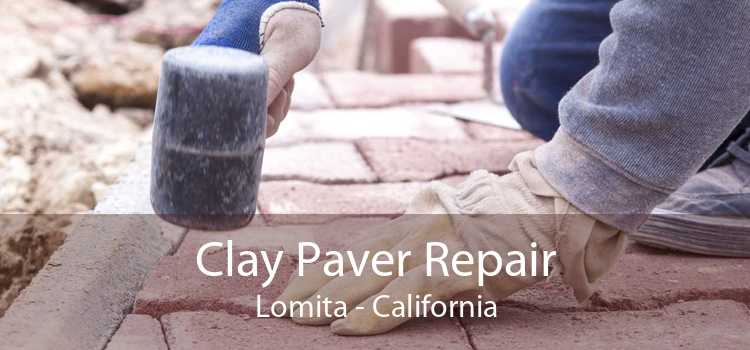 Clay Paver Repair Lomita - California