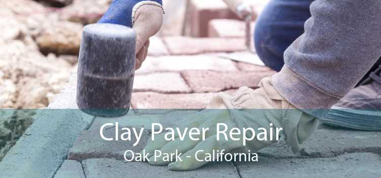 Clay Paver Repair Oak Park - California