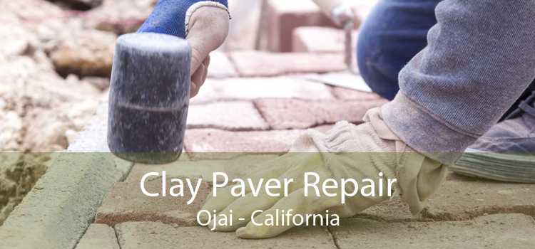 Clay Paver Repair Ojai - California