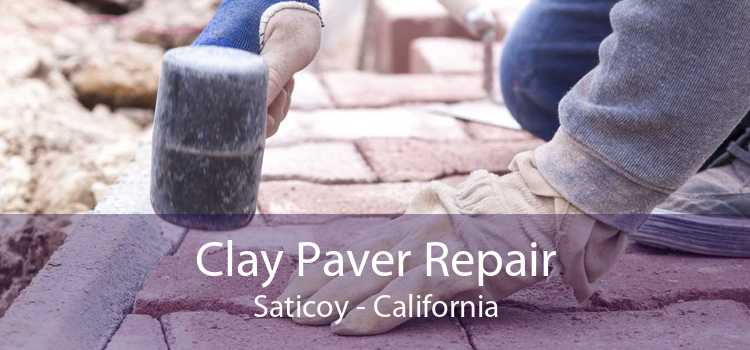 Clay Paver Repair Saticoy - California