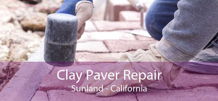 Clay Paver Repair Sunland - California