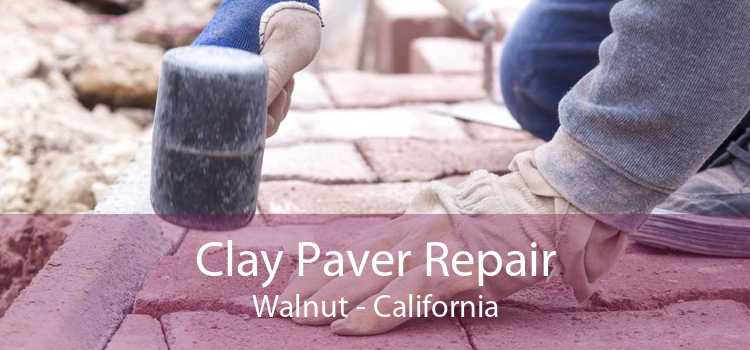 Clay Paver Repair Walnut - California