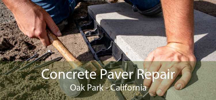 Concrete Paver Repair Oak Park - California