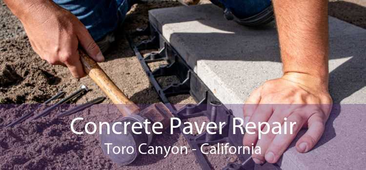 Concrete Paver Repair Toro Canyon - California