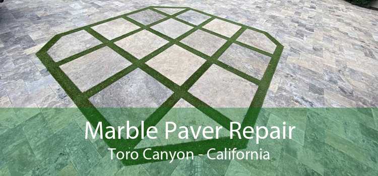 Marble Paver Repair Toro Canyon - California