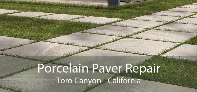 Porcelain Paver Repair Toro Canyon - California