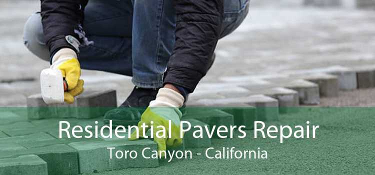 Residential Pavers Repair Toro Canyon - California