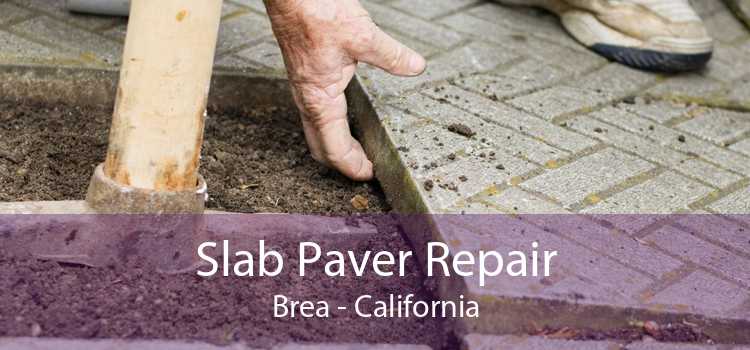 Slab Paver Repair Brea - California